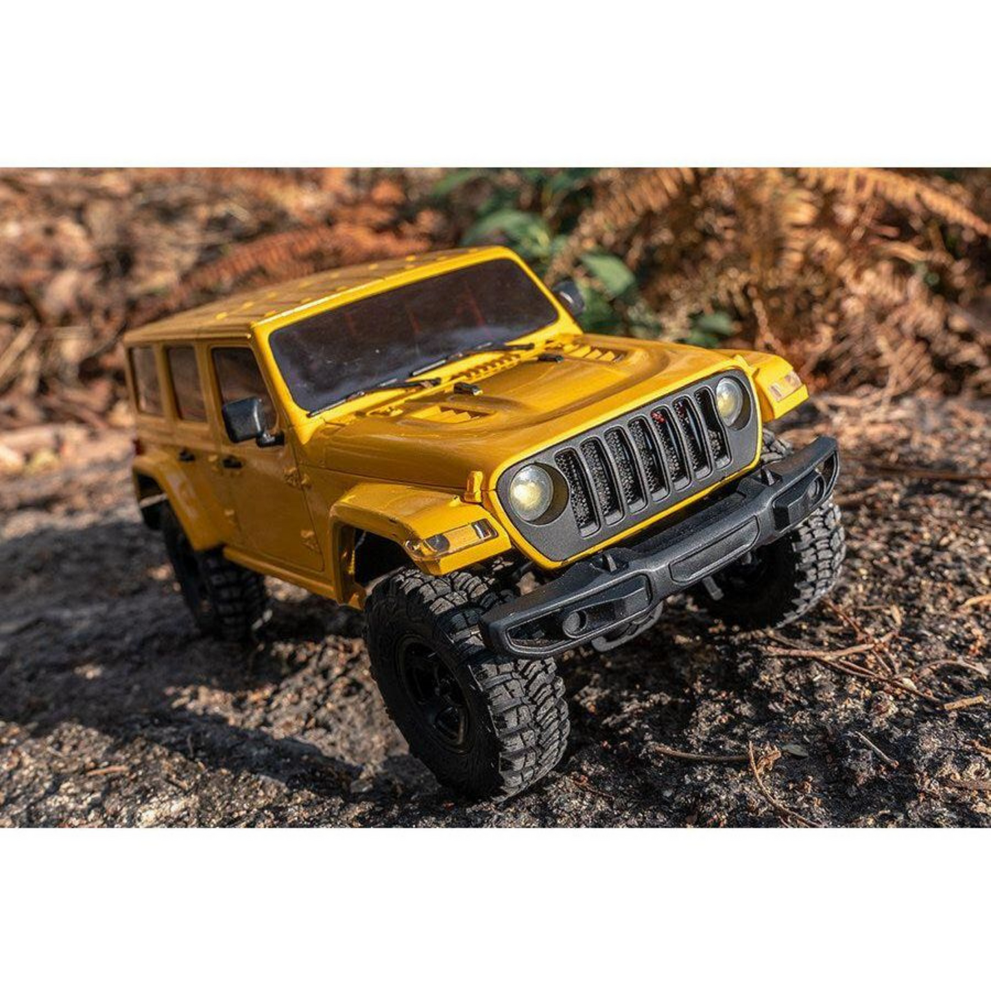 
                  
                    1/18 Arizona RTR RC Car
                  
                