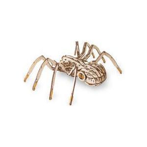 Mechanical Spider on rubber-band engine with moving legs-SD Toys-ProHobbies