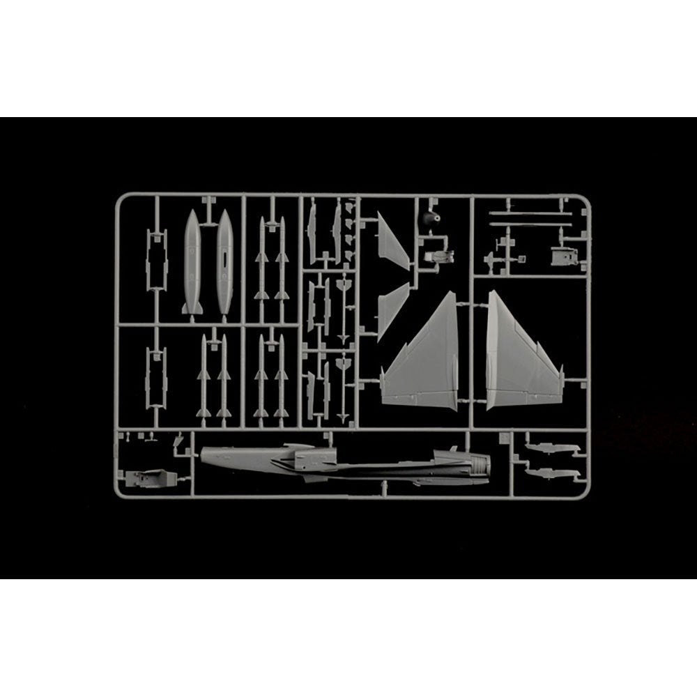 
                  
                    ITALERI JAS-39 TWIN SEATER
                  
                
