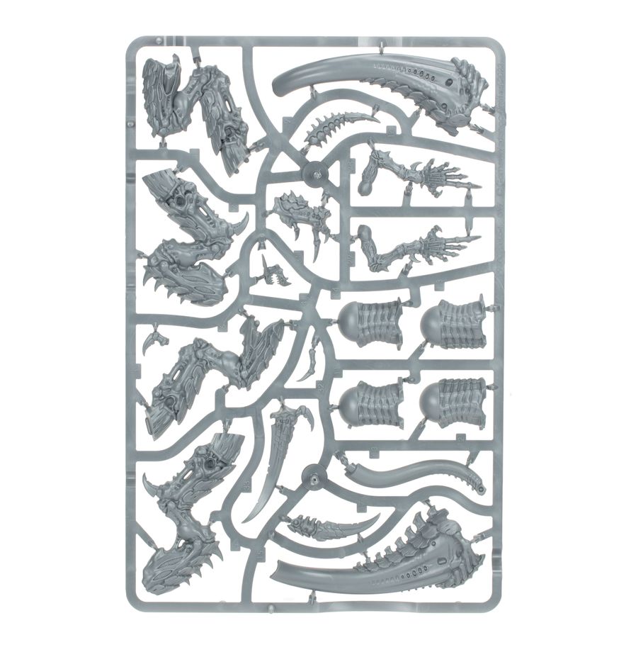 
                  
                    Warhammer40k - Tyranids: Norn Emissary
                  
                